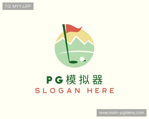 关于pg模拟器